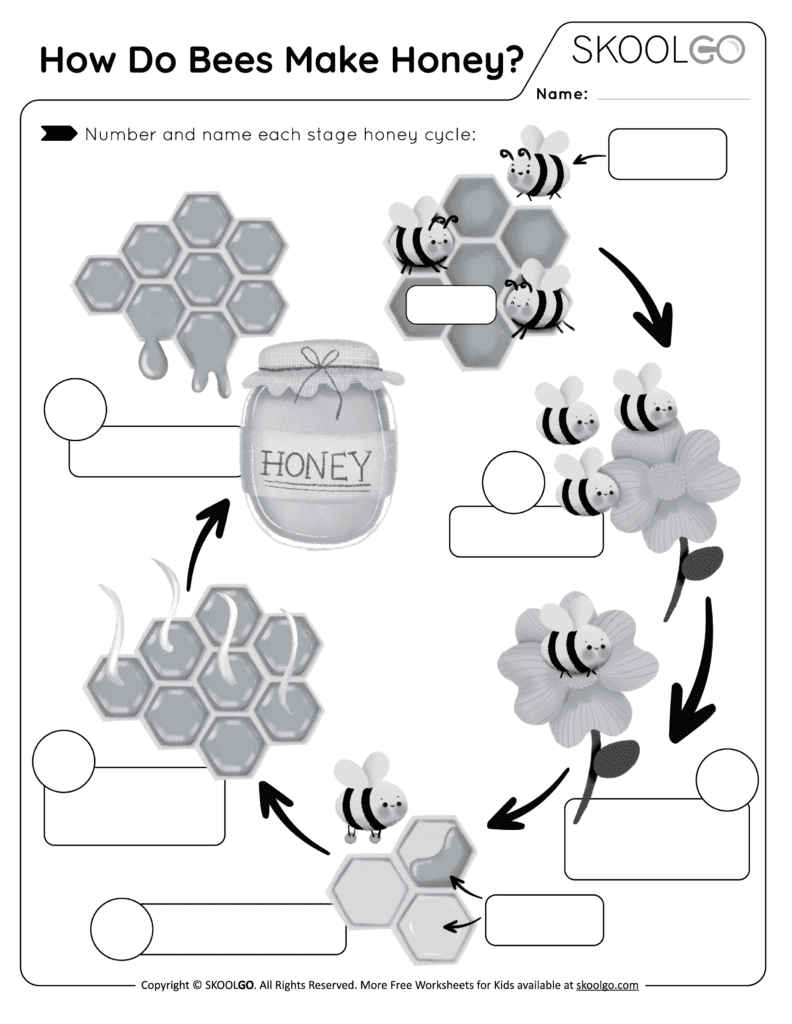 How Do Bees Make Honey Free Worksheet SKOOLGO