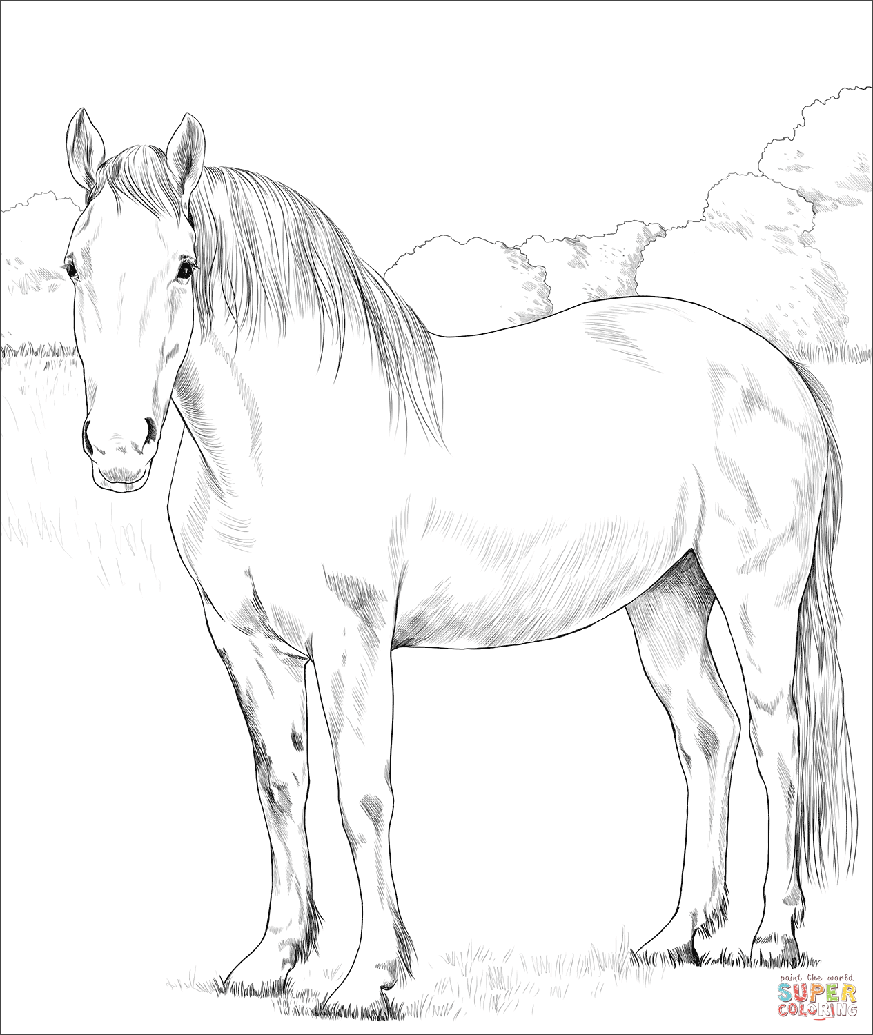 Http www supercoloring coloring pages irish draught horse version 