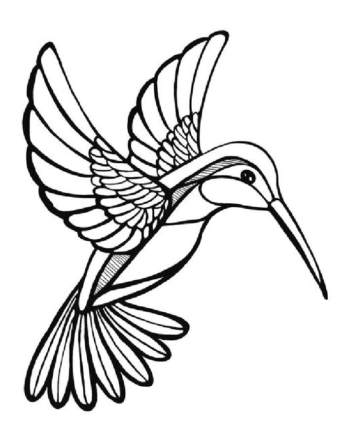 Hummingbird Coloring Pages Free Printable PDF Hummingbird Coloring Pages Free Printable PDF