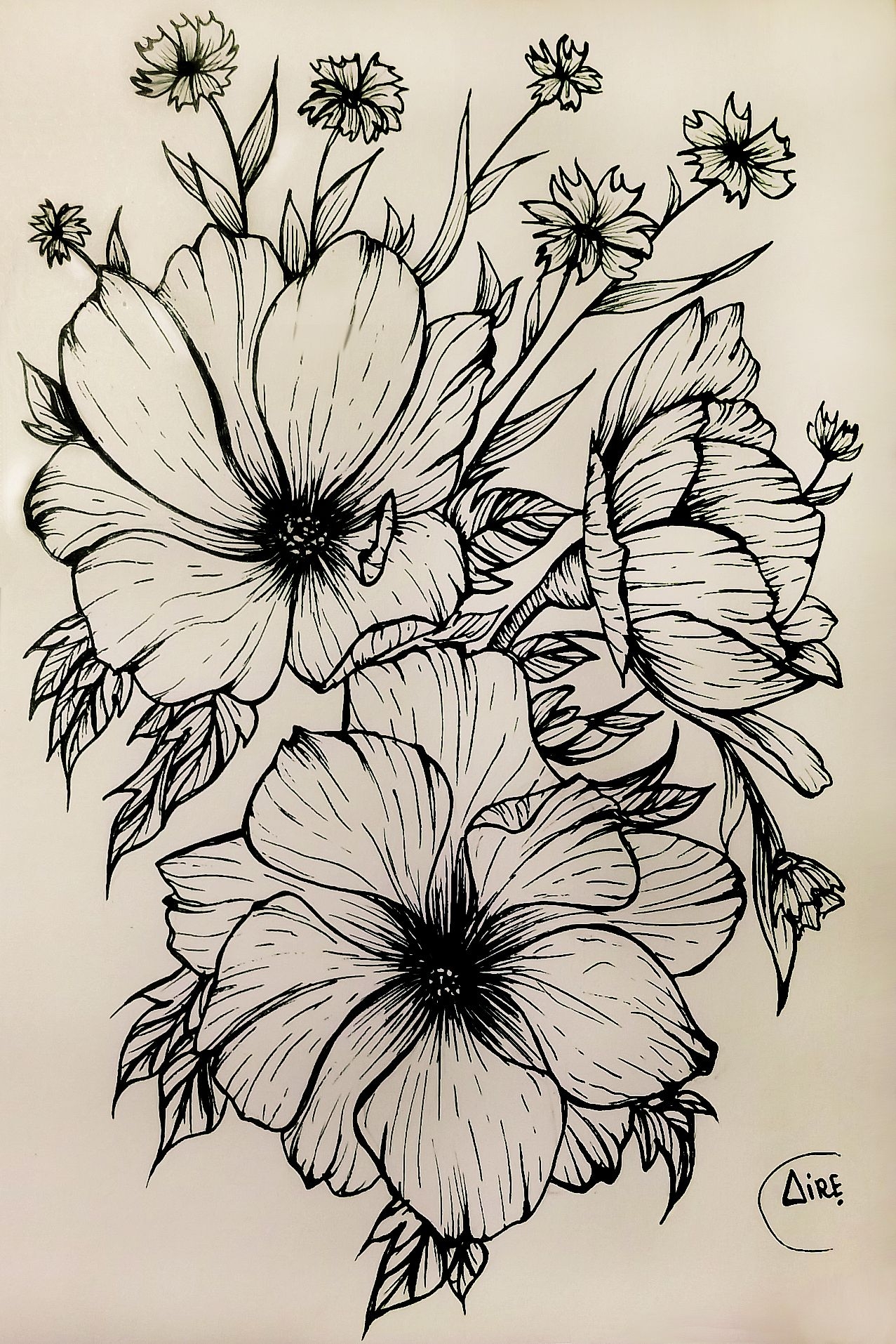 Ink Drawings Of Flowers At PaintingValley Explore Collection Of 