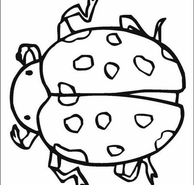 Insect Coloring Pages Coloring Home