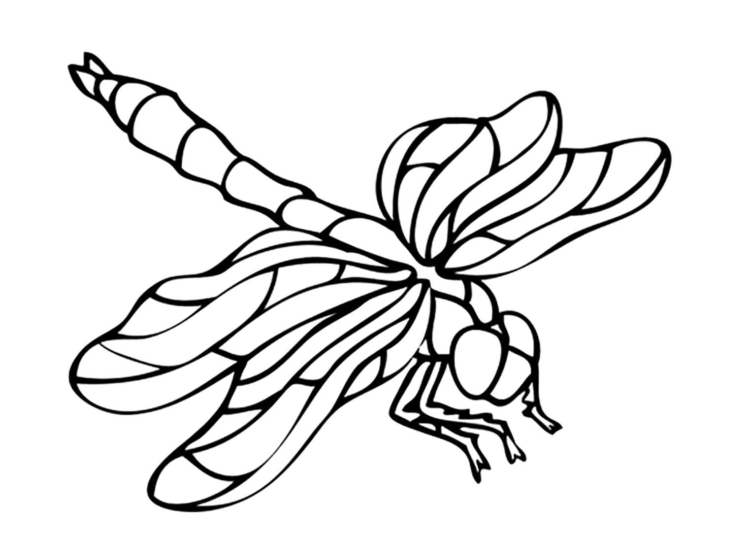 Insect Printable Coloring Pages