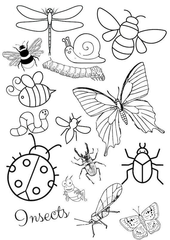 Insects Coloring Pages Free Coloring Book Insects Coloring Pages Free Coloring Book