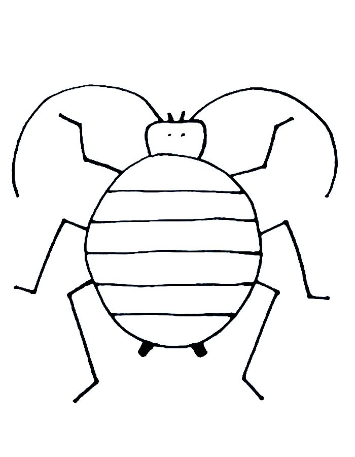 free printable insects coloring pages
