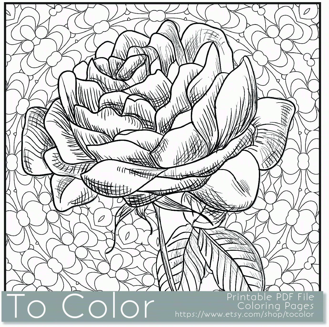 Intricate Flower Coloring Pages Coloring Home