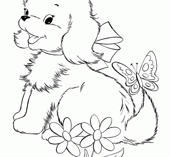 Kitten And Puppy Coloring Pages To Print Coloring Home