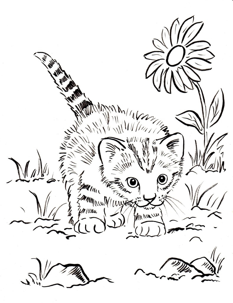 Kitten Coloring Page Art Starts Kitten Coloring Page Art Starts