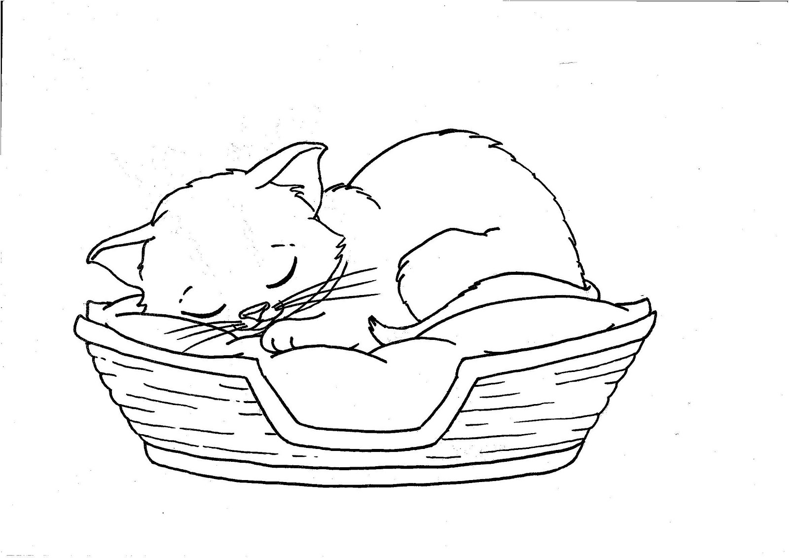 Kitten Coloring Pages Best Coloring Pages For Kids