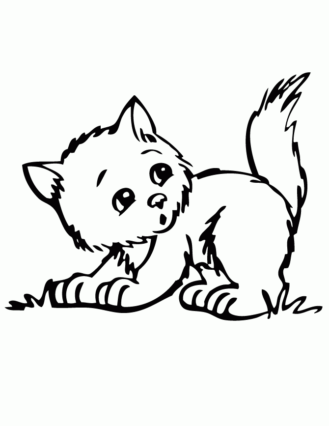 Kitten Coloring Pages Best Coloring Pages For Kids Kitten Coloring Pages Best Coloring Pages For Kids