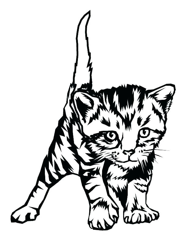 Kitten Coloring Pages To Print Out At GetColorings Free Printable Kitten Coloring Pages To Print Out At GetColorings Free Printable