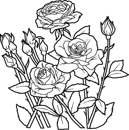 Large Print Coloring Pages At GetColorings Free Printable 
