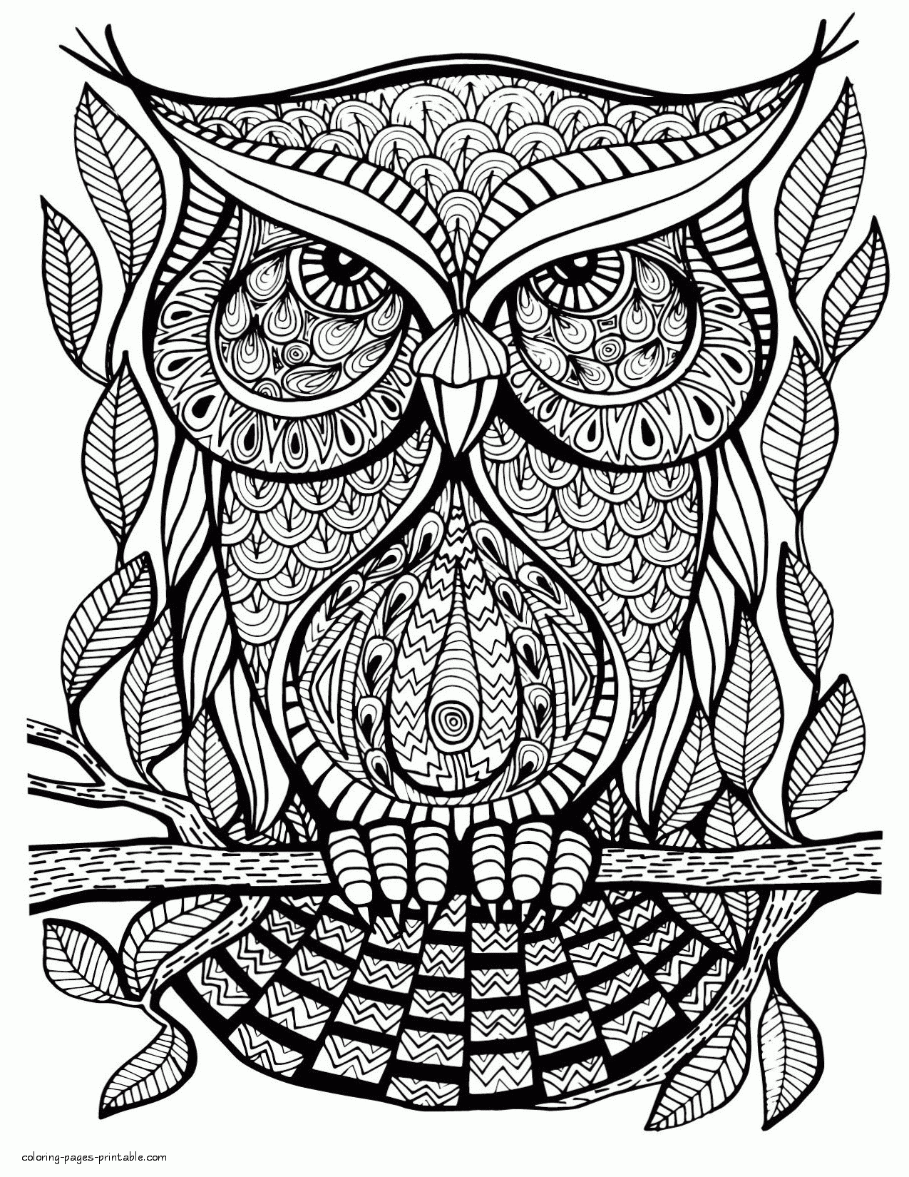 Large Print Coloring Pages For Adults COLORING PAGES PRINTABLE COM Large Print Coloring Pages For Adults COLORING PAGES PRINTABLE COM