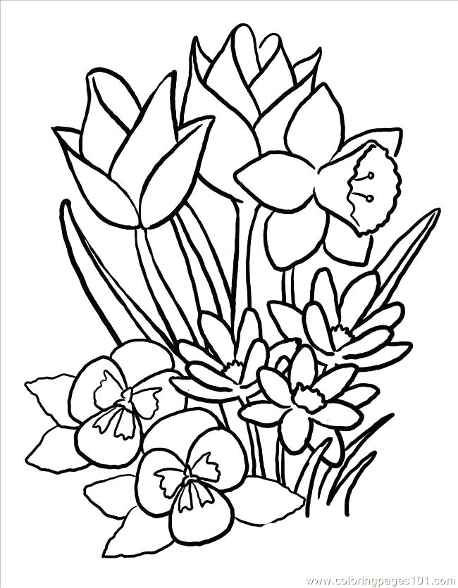 Large Printable Coloring Pages At GetColorings Free Printable Large Printable Coloring Pages At GetColorings Free Printable