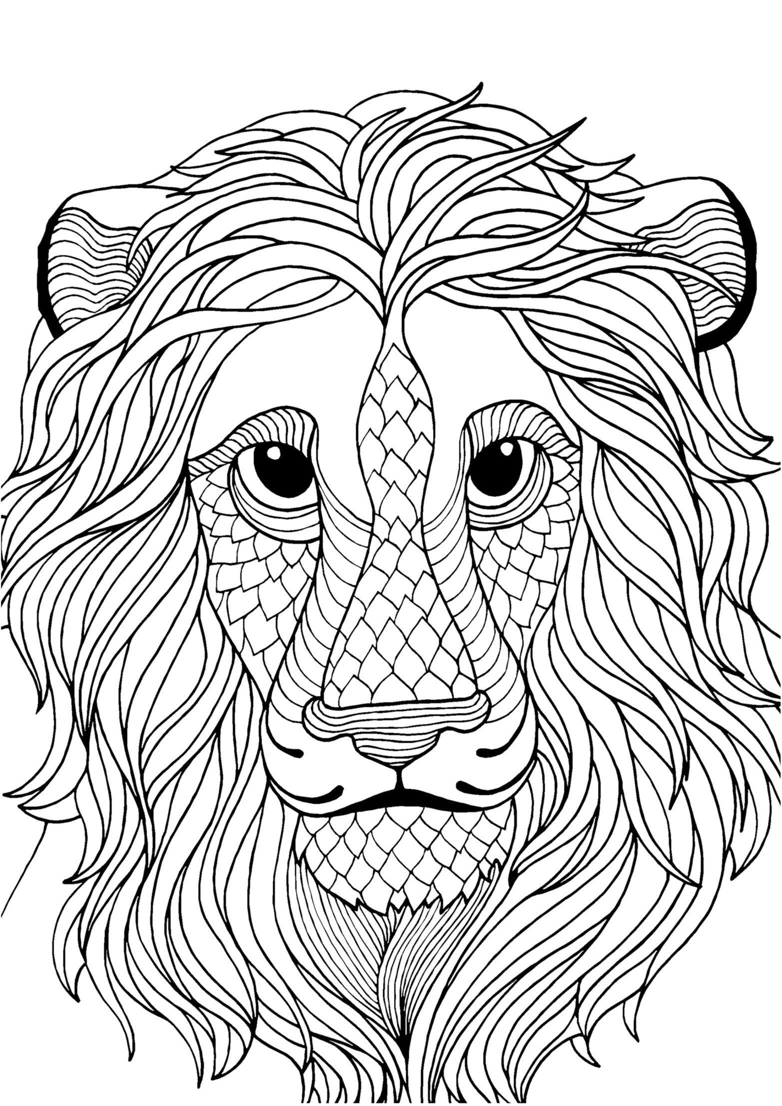 Lion Adult Coloring Page Lion Adult Coloring Page