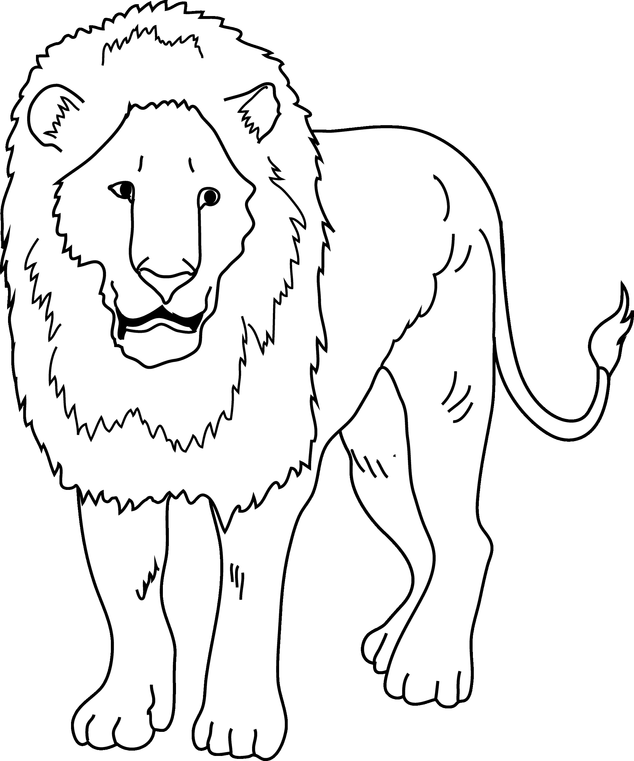 lion drawing for coloring lion drawing for coloring