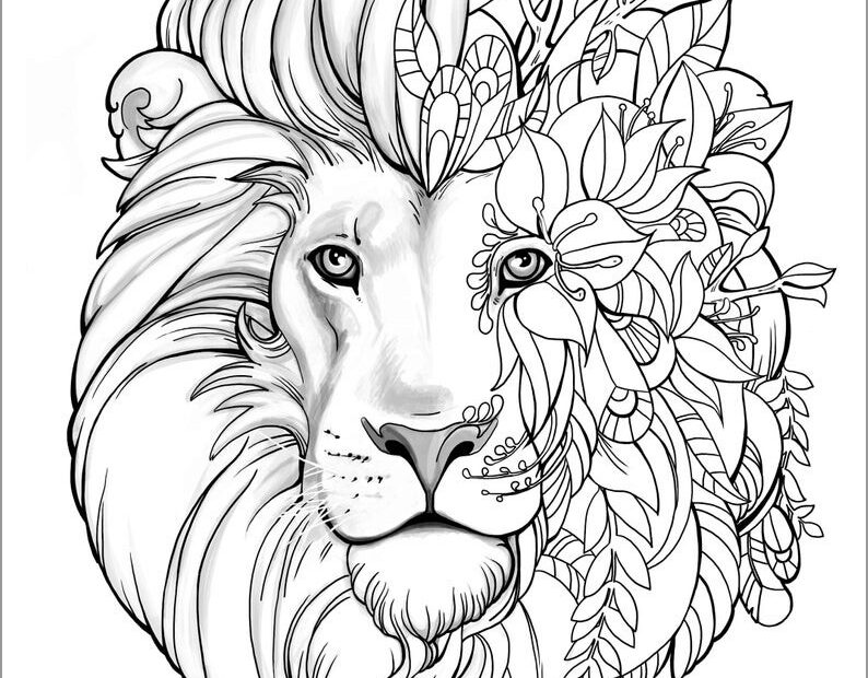 Lion Coloring Pages ColoringBay