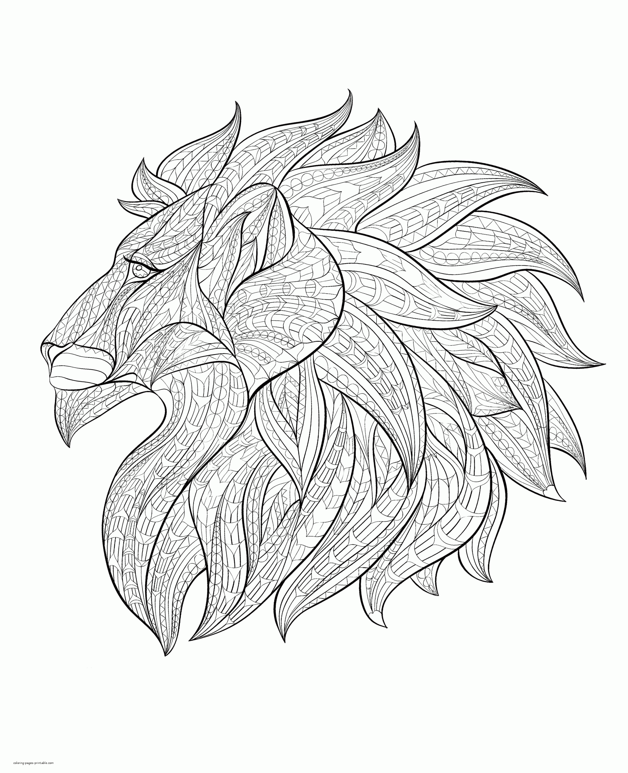lion free printable coloring pages
