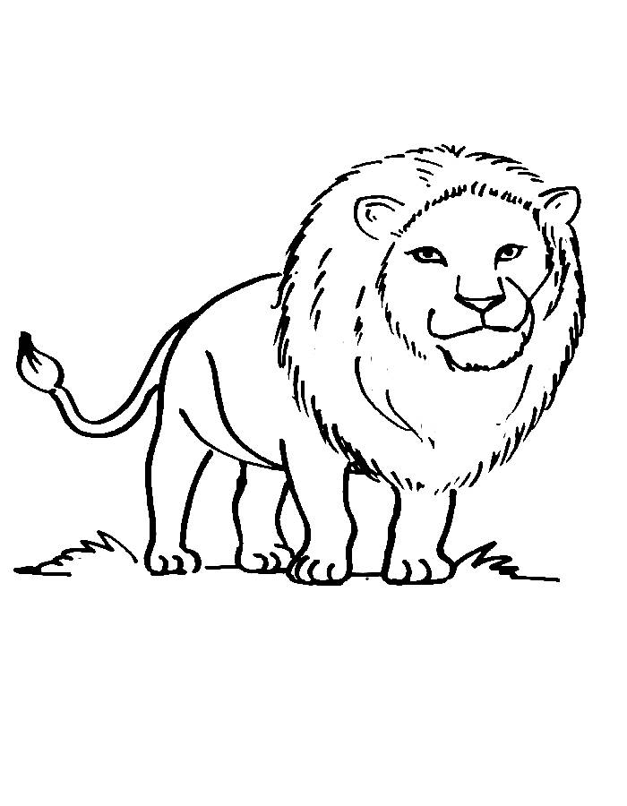 Lion Coloring Pages Free Printable PDF Lion Coloring Pages Free Printable PDF