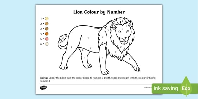 lion picture to colour lion picture to colour