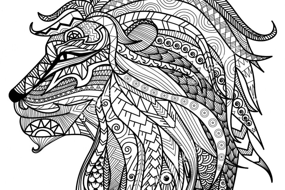 Lion Colour Drawing At GetDrawings Free Download