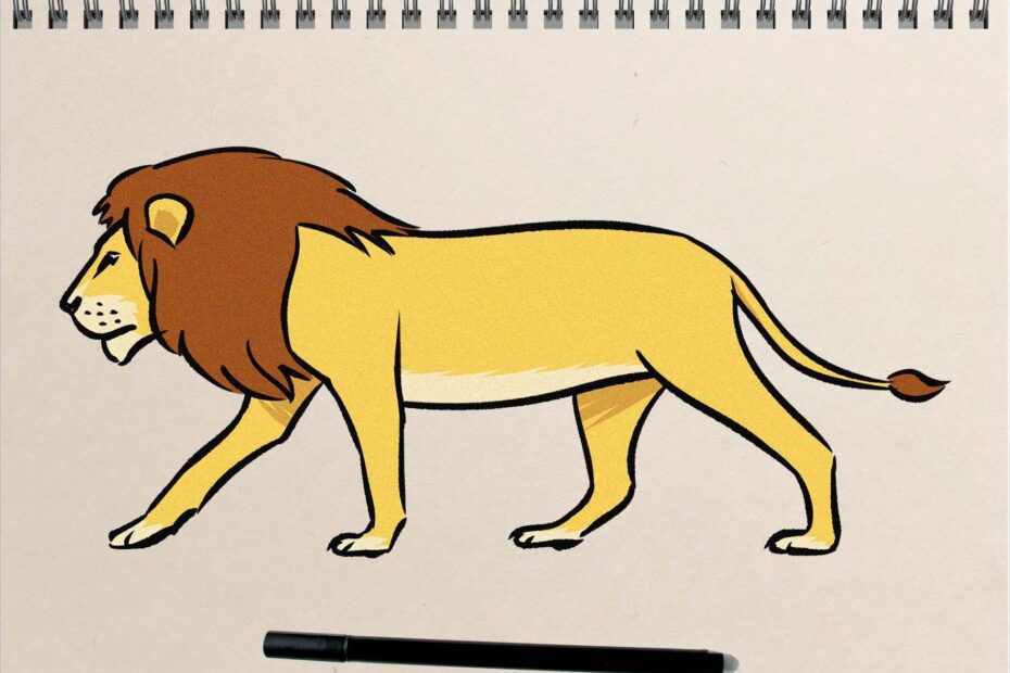 Lion Drawing Images Infoupdate