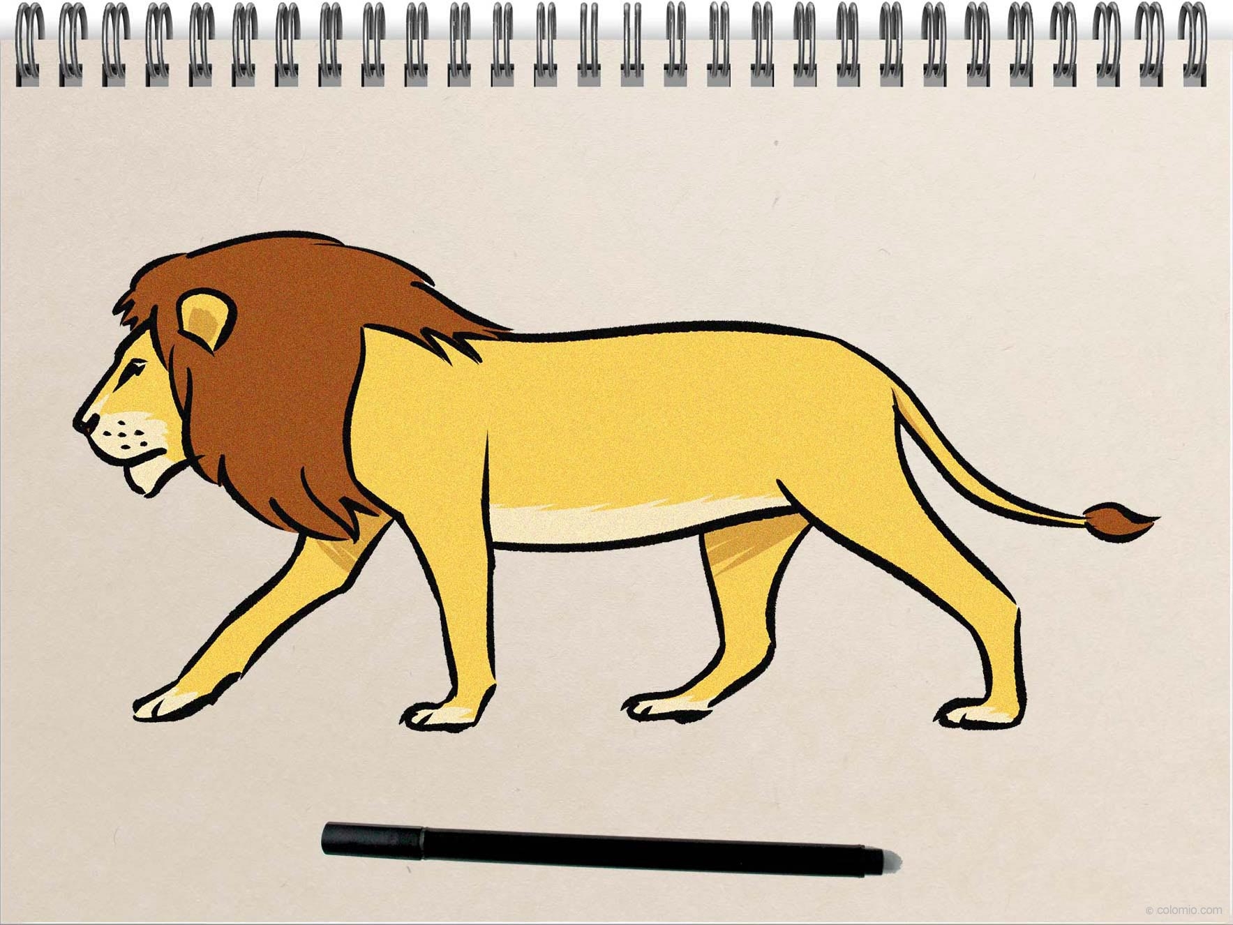 Lion Drawing Images Infoupdate Lion Drawing Images Infoupdate