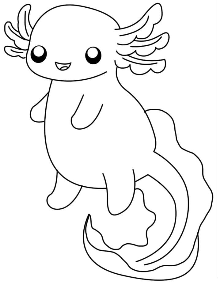 Lovely Axolotl Lovely Axolotl