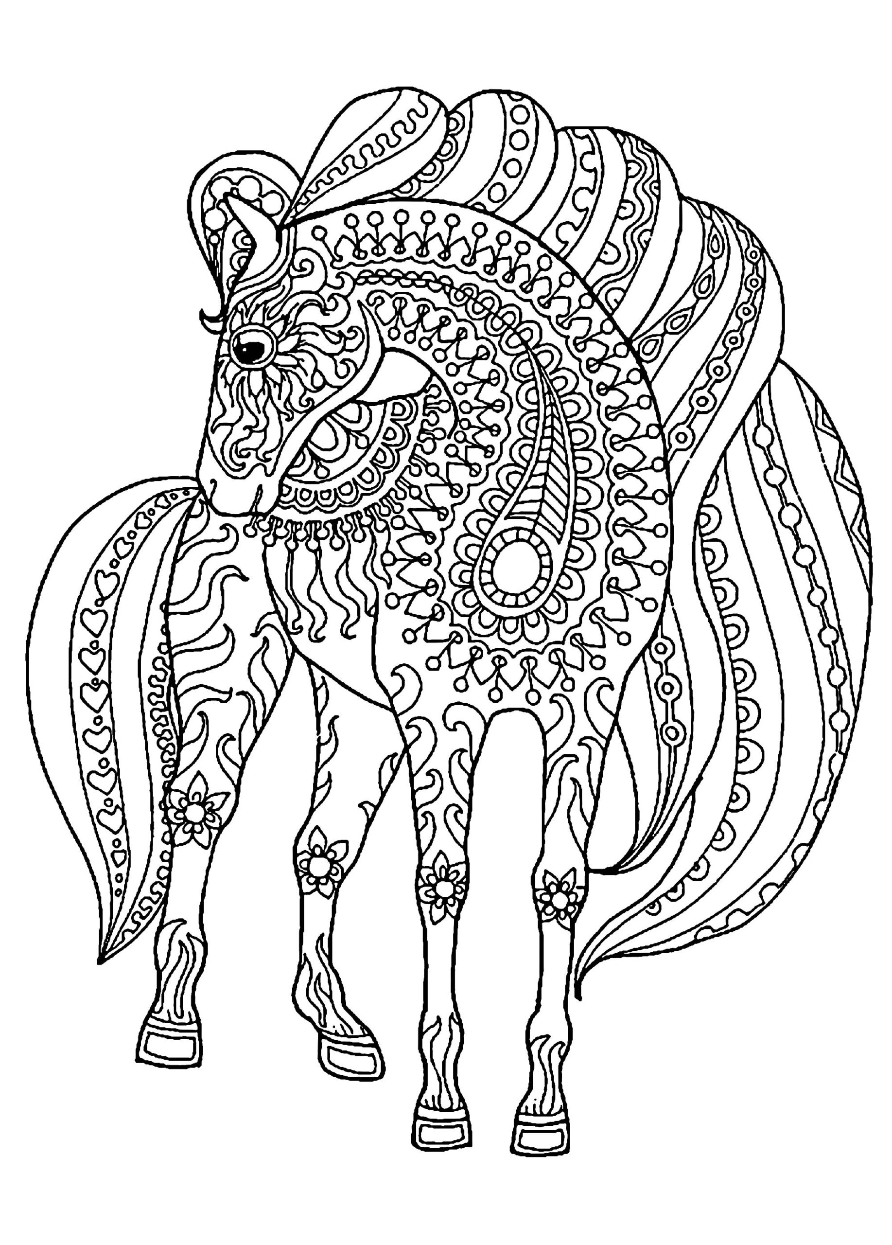 pictures to colour of horses pictures to colour of horses