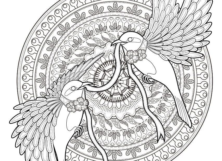 Mandala Adult Animal Birds Coloring Page Printable