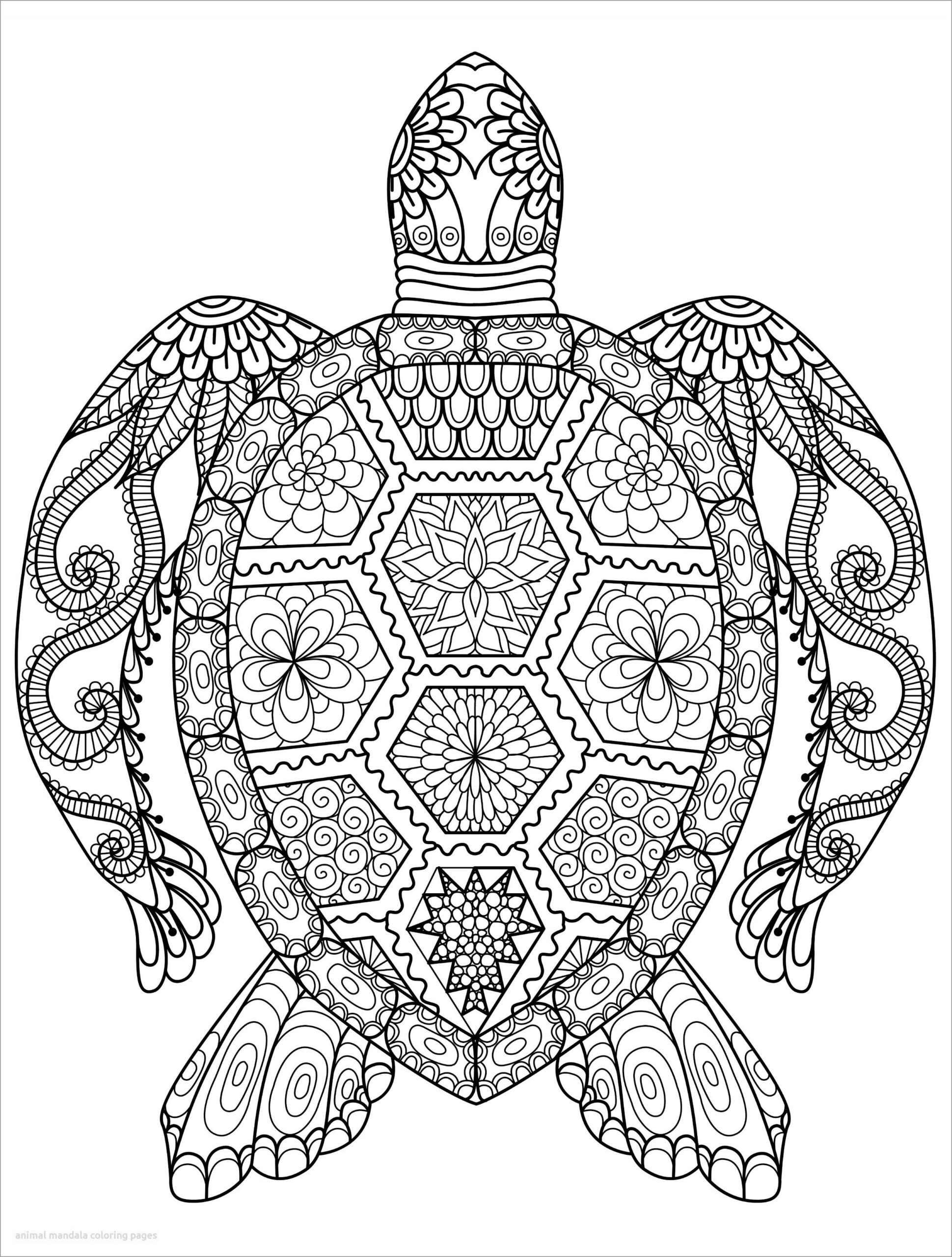mandala printable coloring pages mandala printable coloring pages