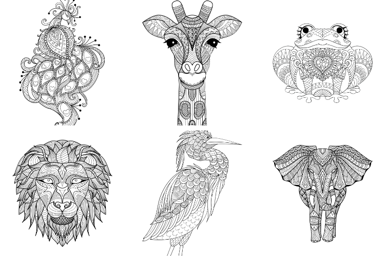 Mandala Colouring Pages Gathering Beauty