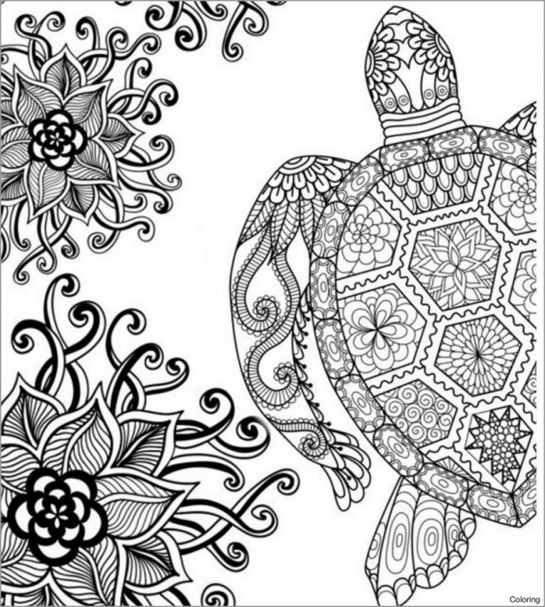 free turtle colouring pages