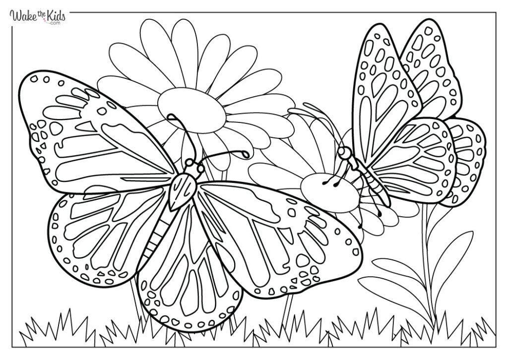 Monarch Butterfly Printable Free Monarch Butterfly Printable Free
