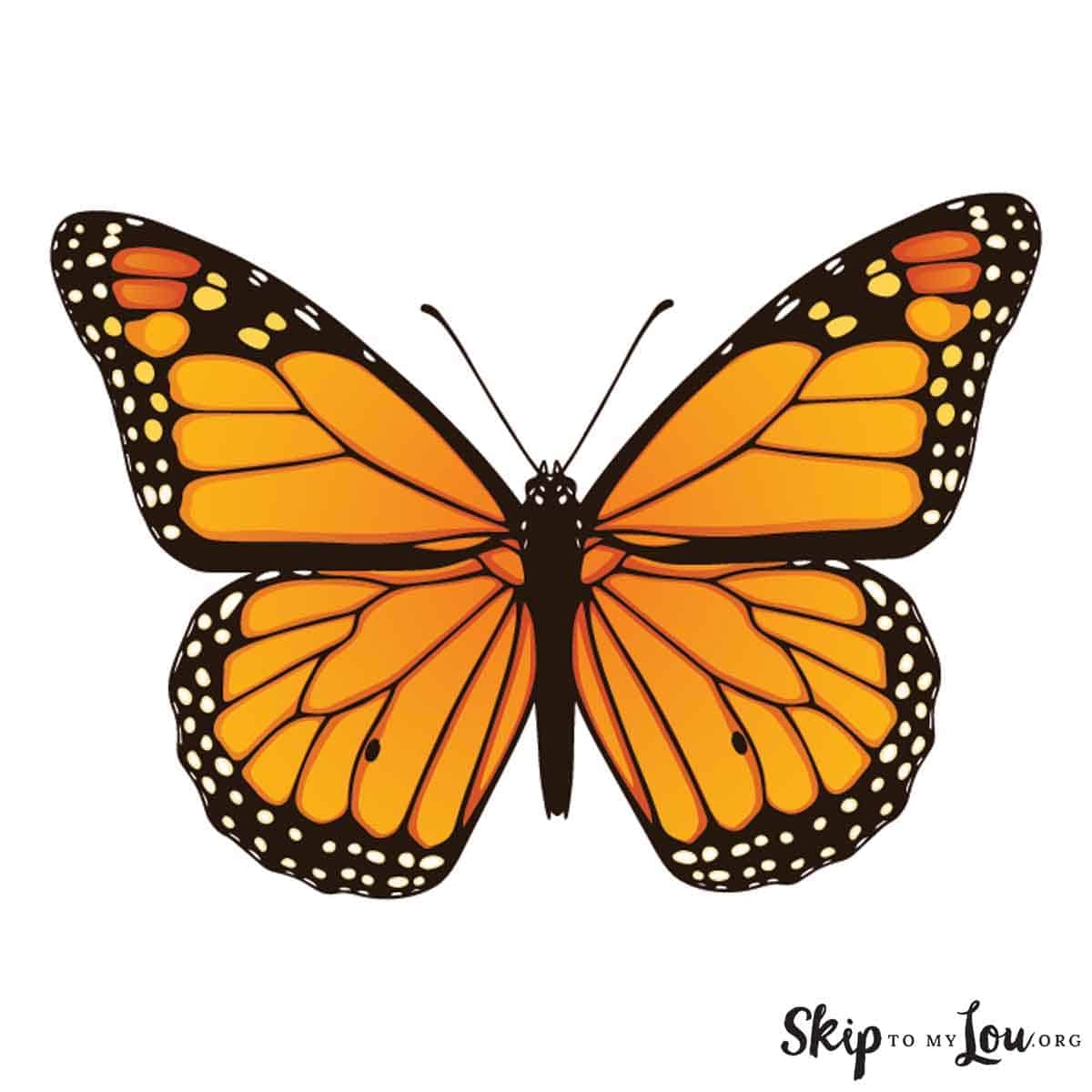 Monarch Butterfly Printable Monarch Butterfly Printable
