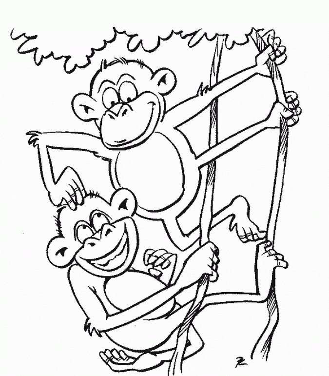 Monkey Coloring Page Animals Town Animal Color Sheets Monkey Picture