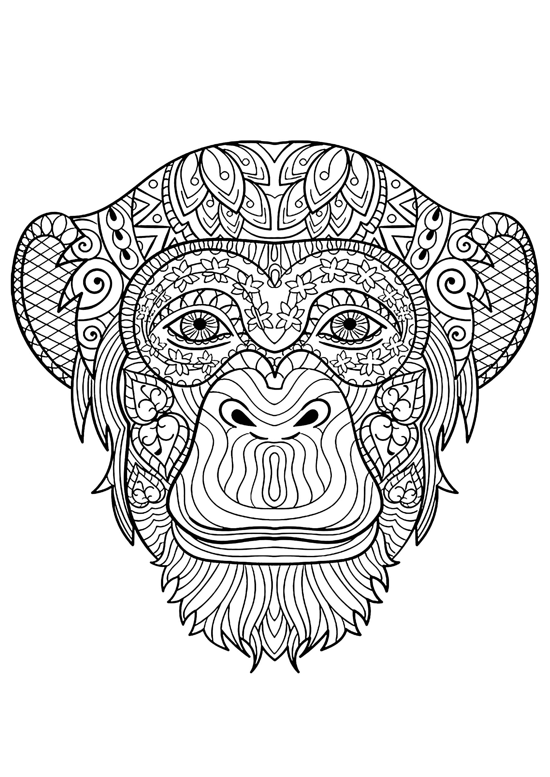 Monkey Head Monkey Coloring Pages For Adults