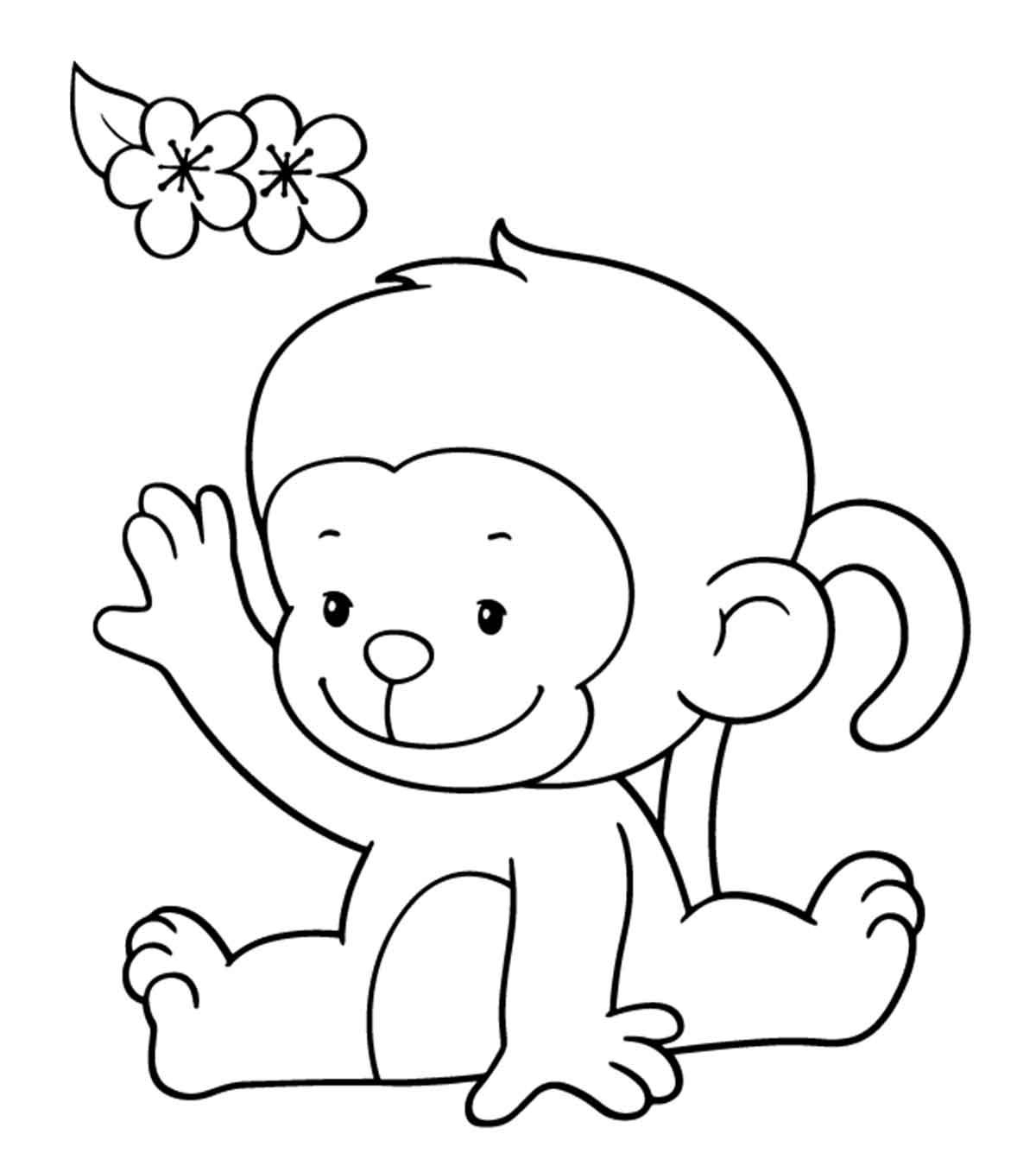 colouring pictures of a monkey