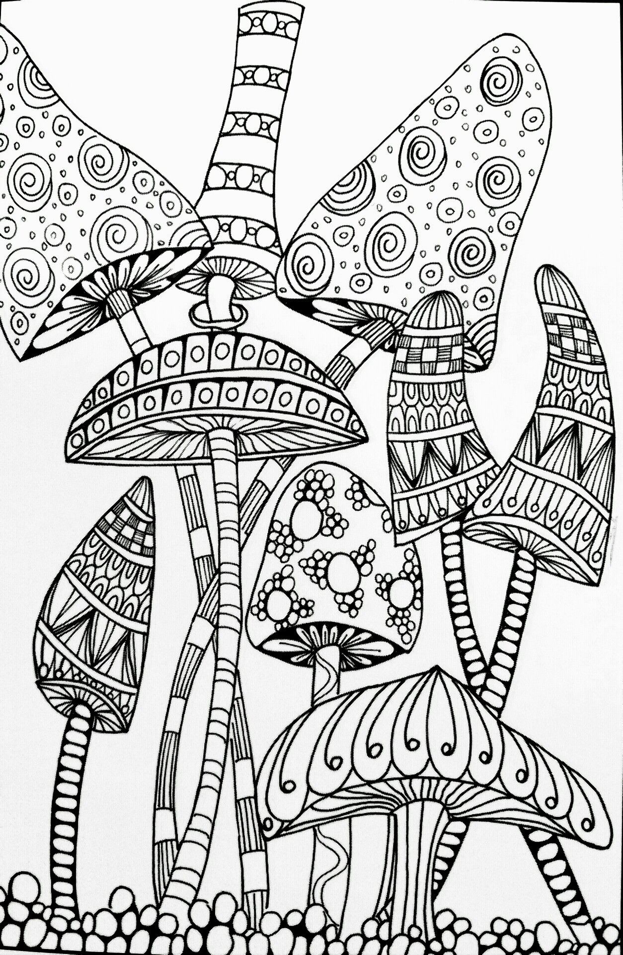 Mushrooms Coloring Book AdultcoloringbookZ