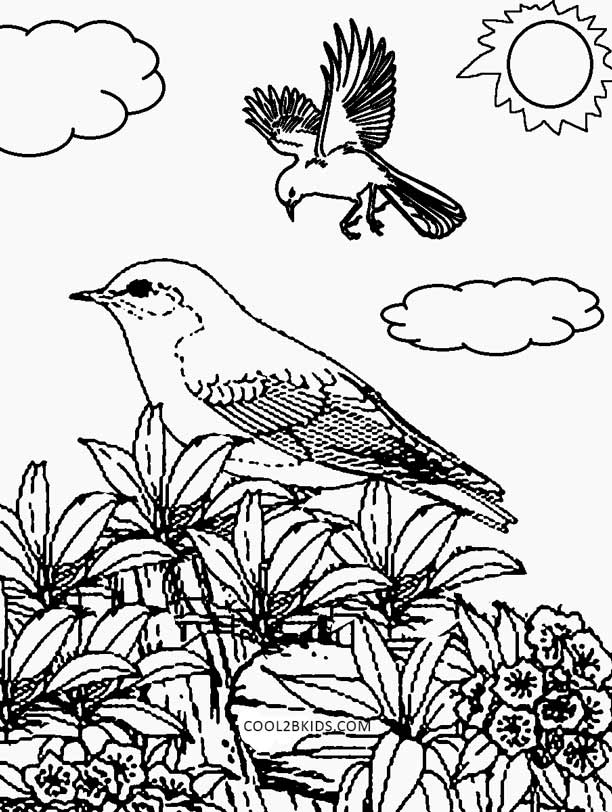 Nature Printable Coloring Pages Nature Printable Coloring Pages
