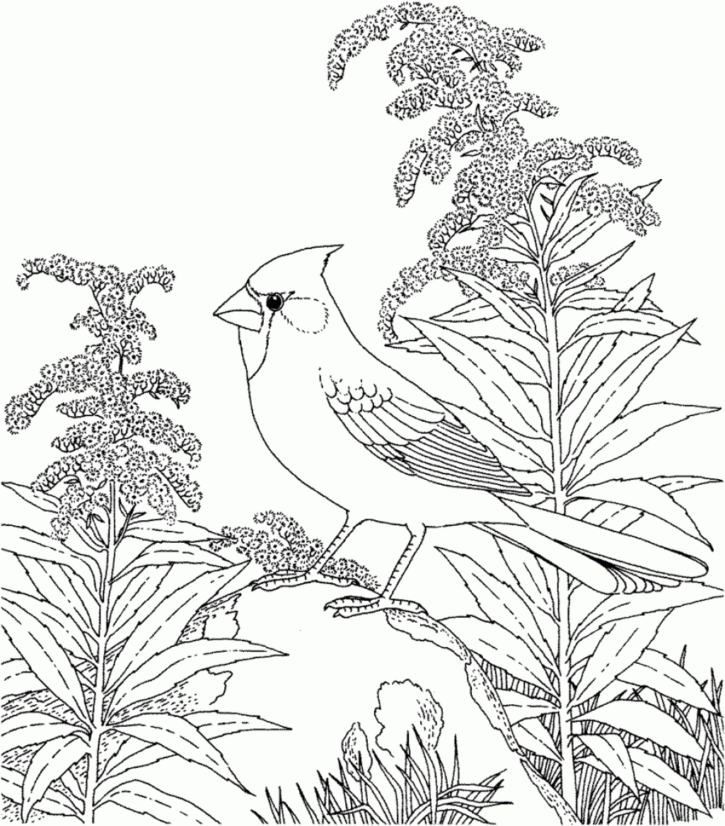 Nature Scenes Coloring Pages Coloring Home Nature Scenes Coloring Pages Coloring Home