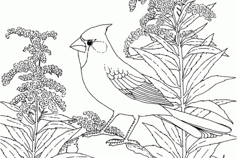 Nature Scenes Coloring Pages Coloring Home