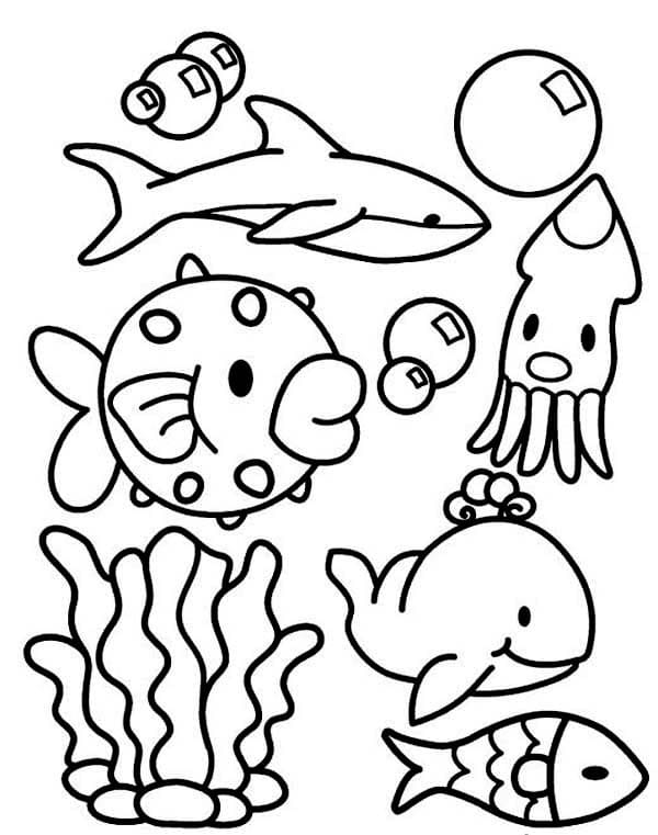 Ocean Animals Coloring Pages And Printable Activities Vrogue co