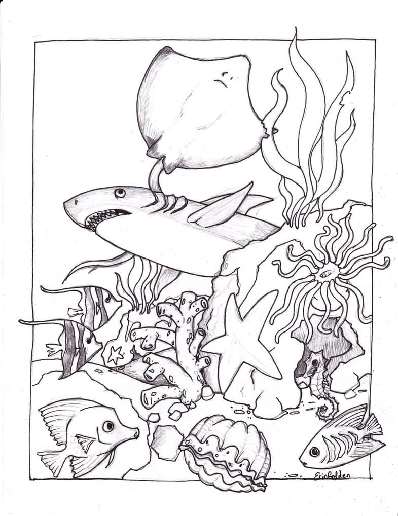 Ocean Creatures Coloring Page Free Printable Coloring Pages For Kids