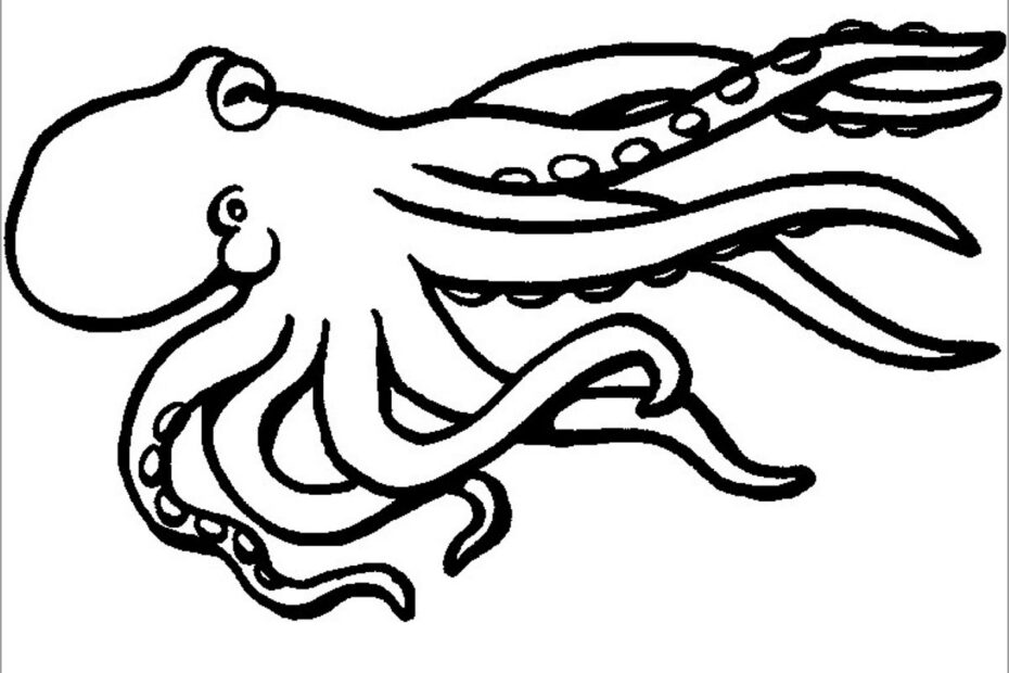 Octopus Coloring Pages ColoringBay