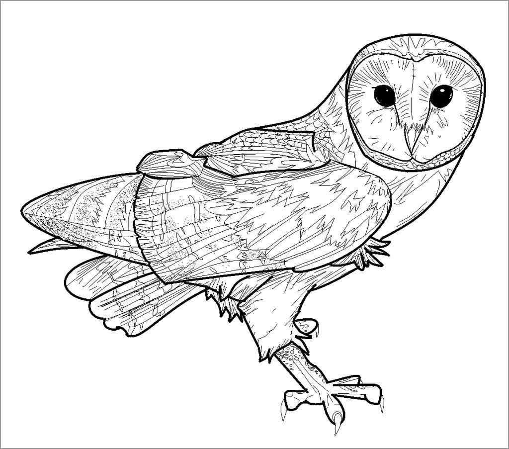 Owl Coloring Pages ColoringBay