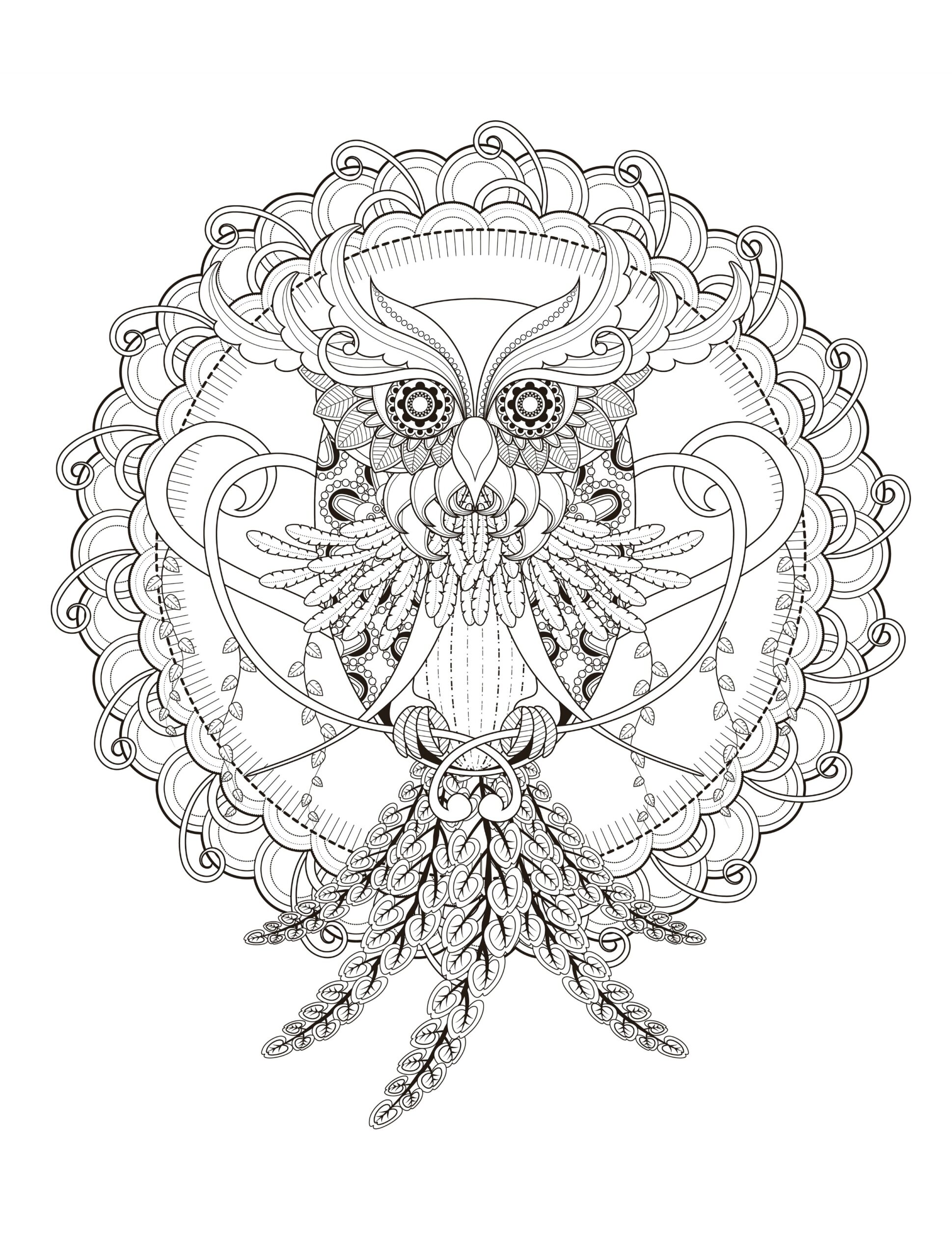 OWL Coloring Pages For Adults Free Detailed Owl Coloring Pages OWL Coloring Pages For Adults Free Detailed Owl Coloring Pages