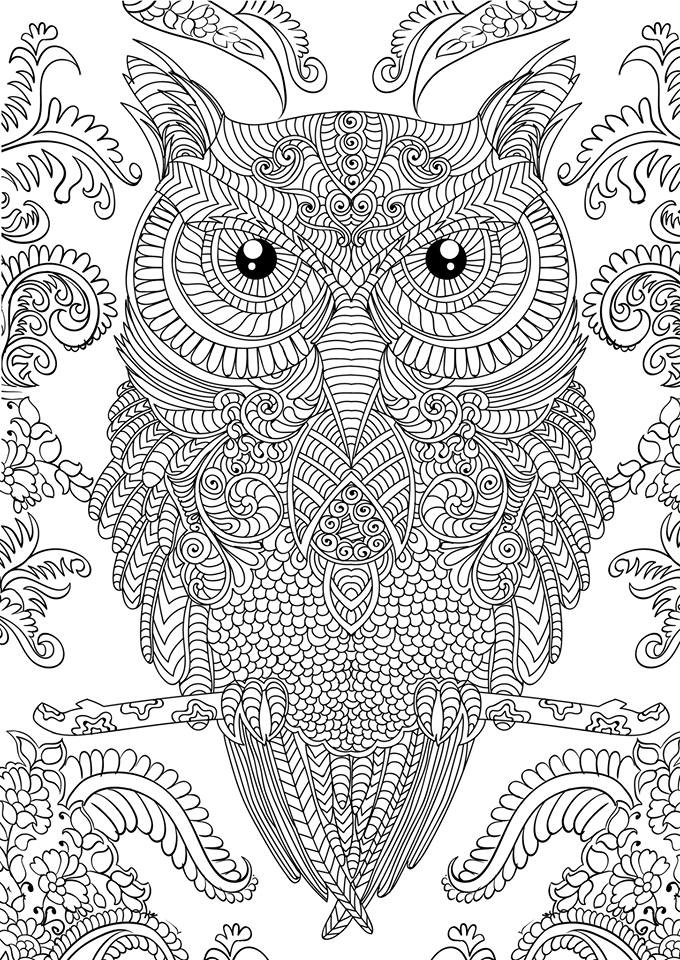 OWL Coloring Pages For Adults Free Detailed Owl Coloring Pages OWL Coloring Pages For Adults Free Detailed Owl Coloring Pages
