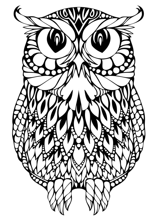 owl coloring pages for adults owl coloring pages for adults