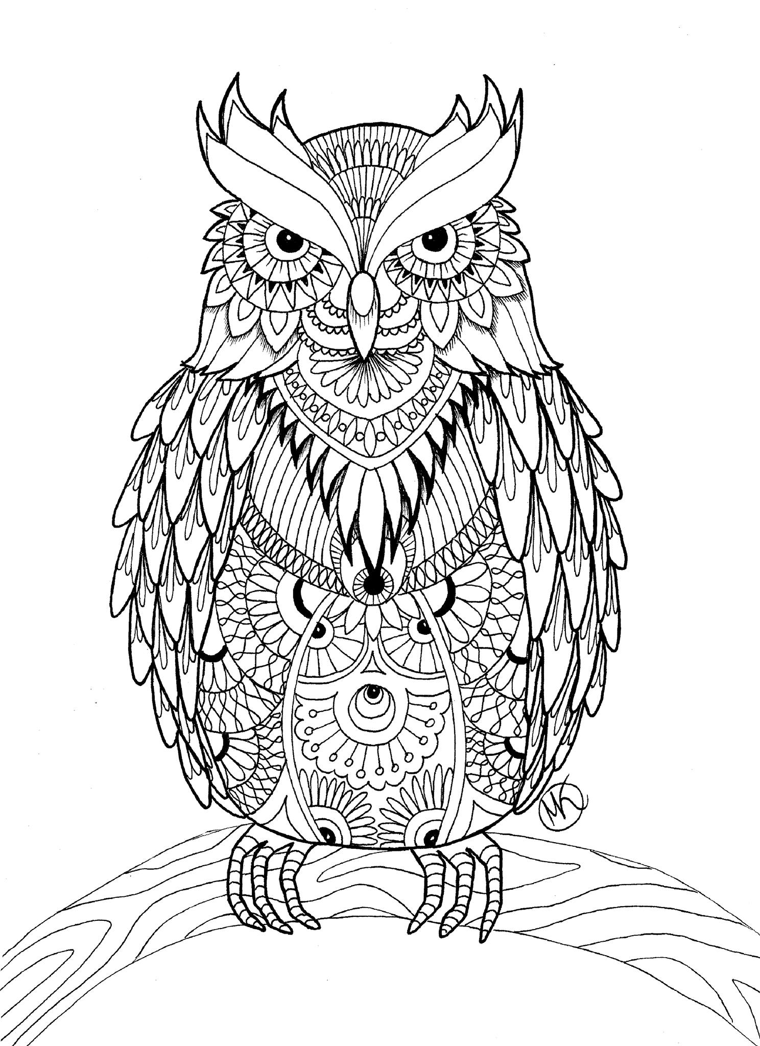 OWL Coloring Pages For Adults Free Detailed Owl Coloring Pages OWL Coloring Pages For Adults Free Detailed Owl Coloring Pages