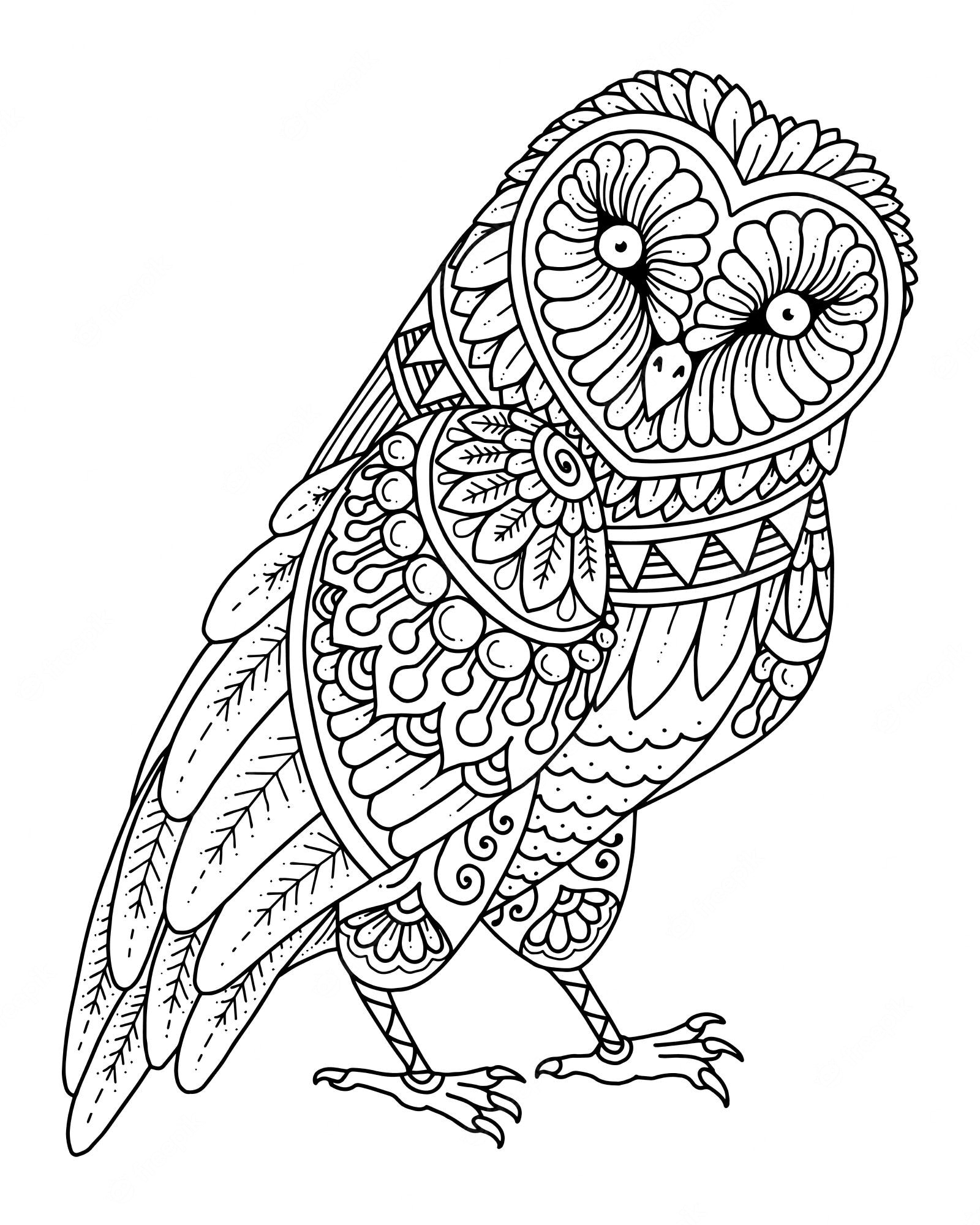 Owl Mandala Coloring Pages Coloring Home Owl Mandala Coloring Pages Coloring Home